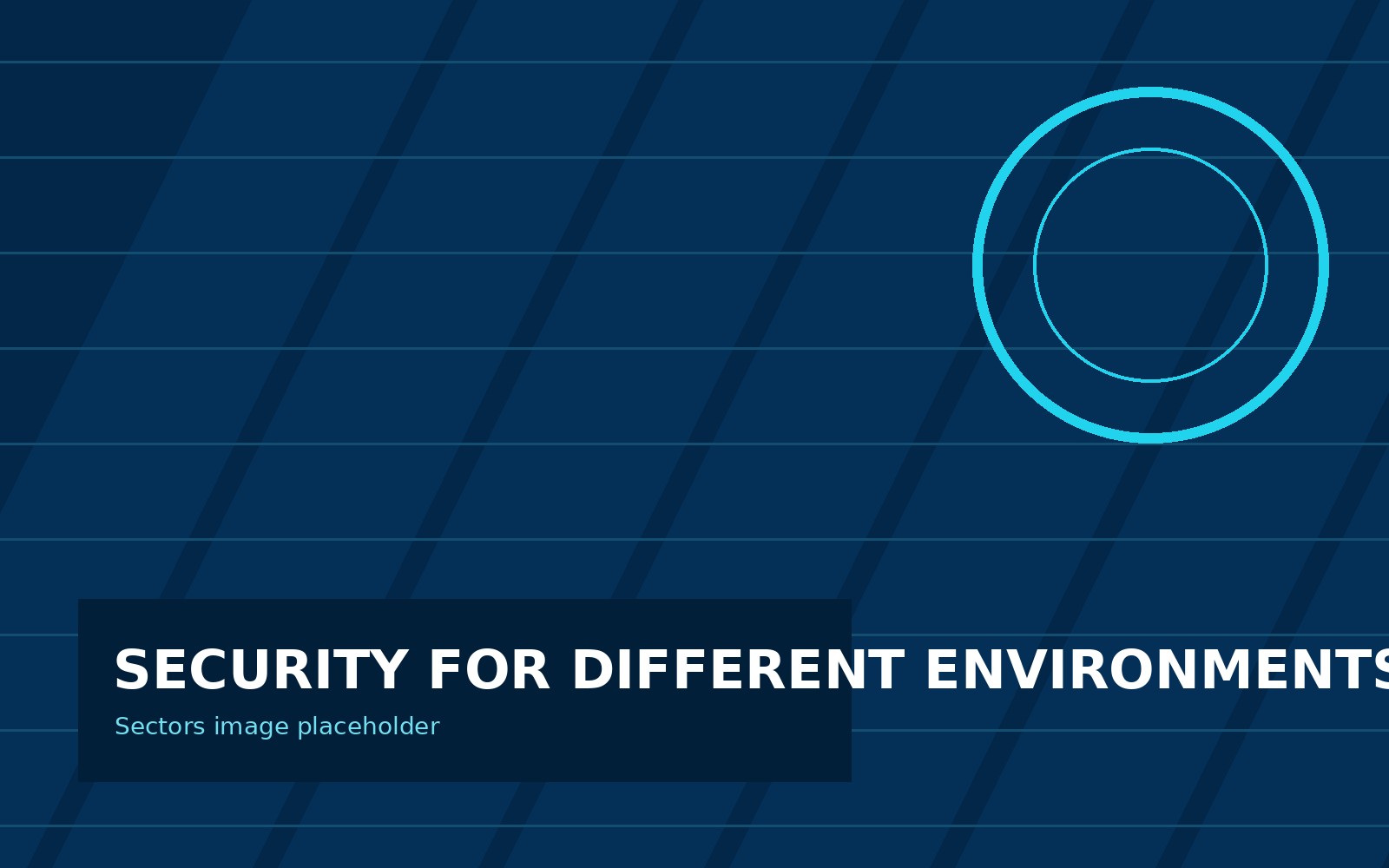 Security sector image placeholder